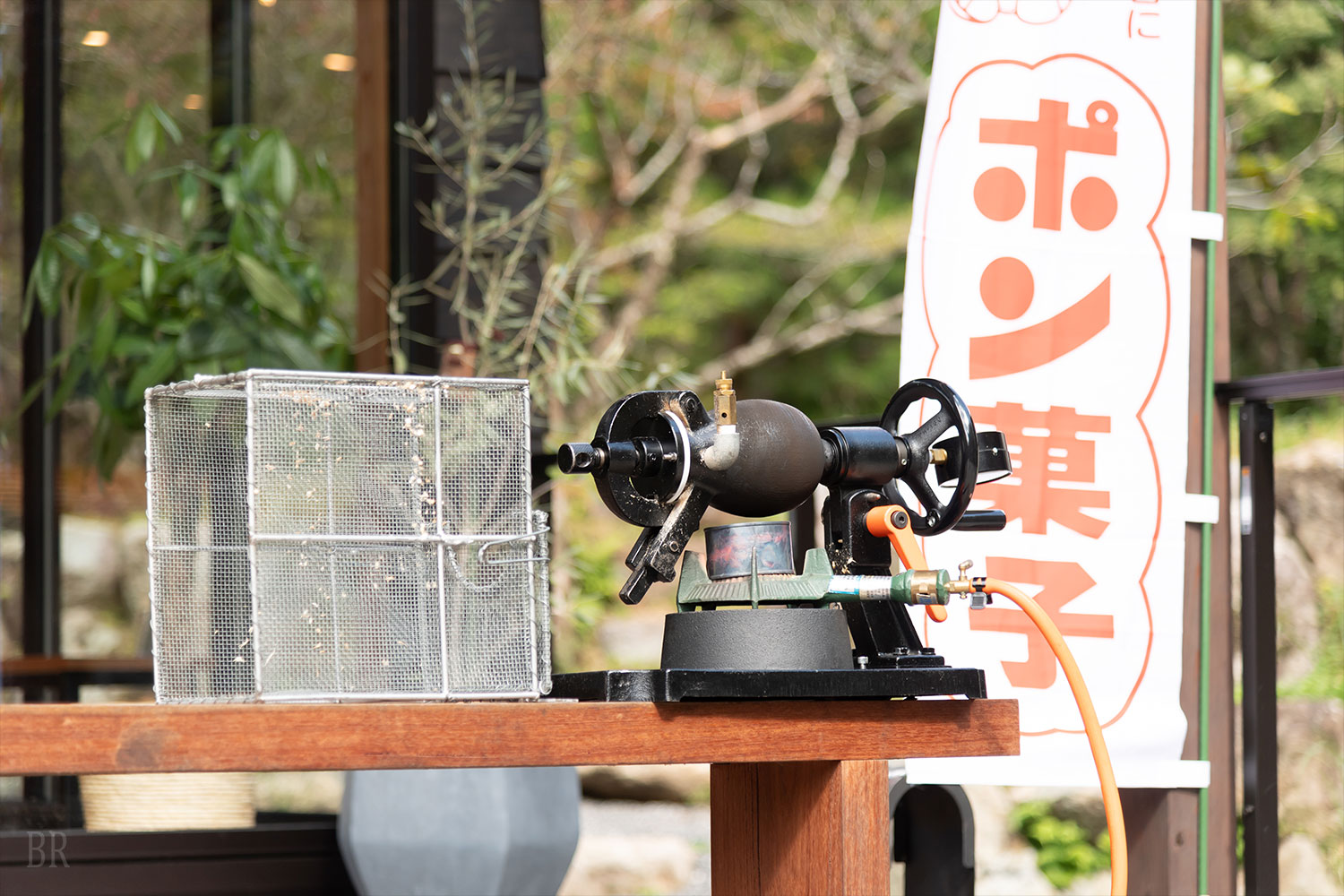 愛犬と楽しむアクティビティ