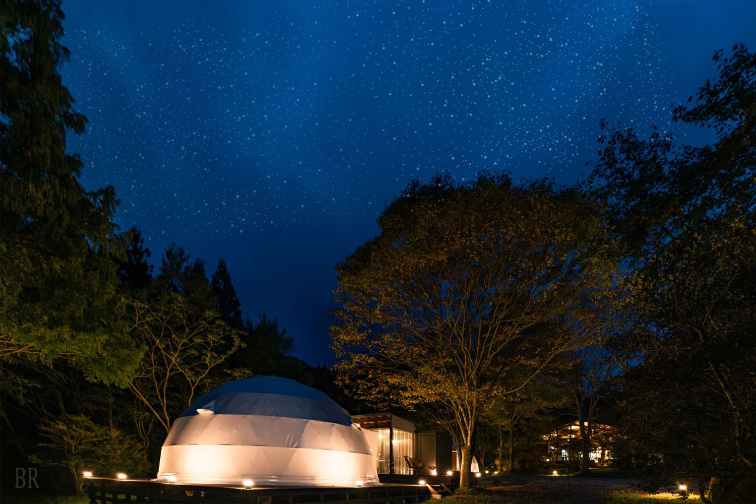 愛犬と一緒に星空観察