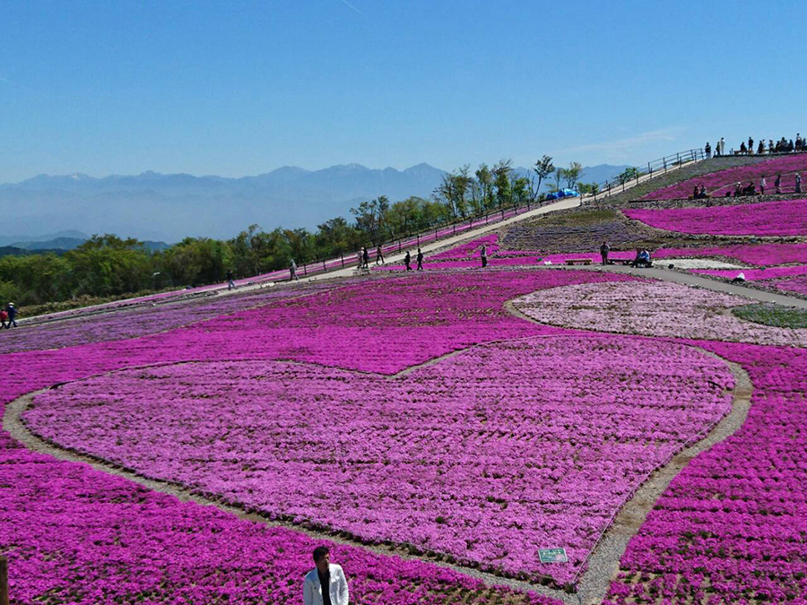愛犬と楽しむ周辺観光