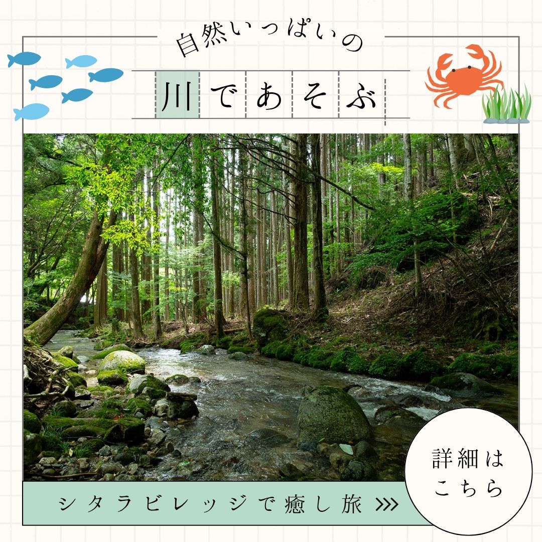 川遊びバナー