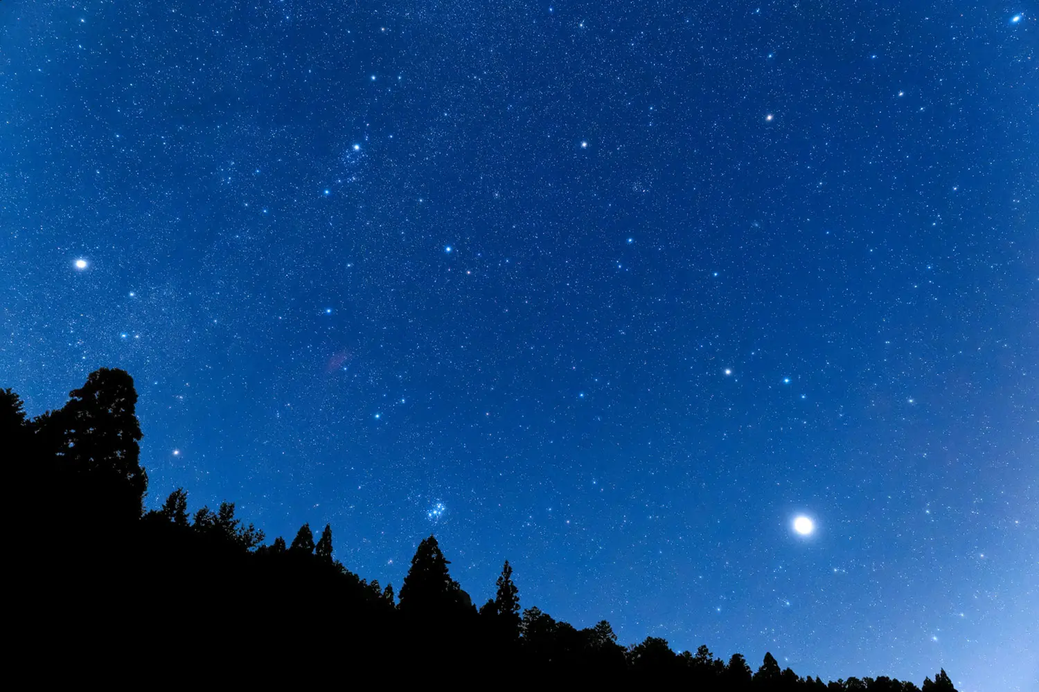 星空観察（通年） | 【愛知県】シタラヴィレッジ-愛知最大級のグラン
