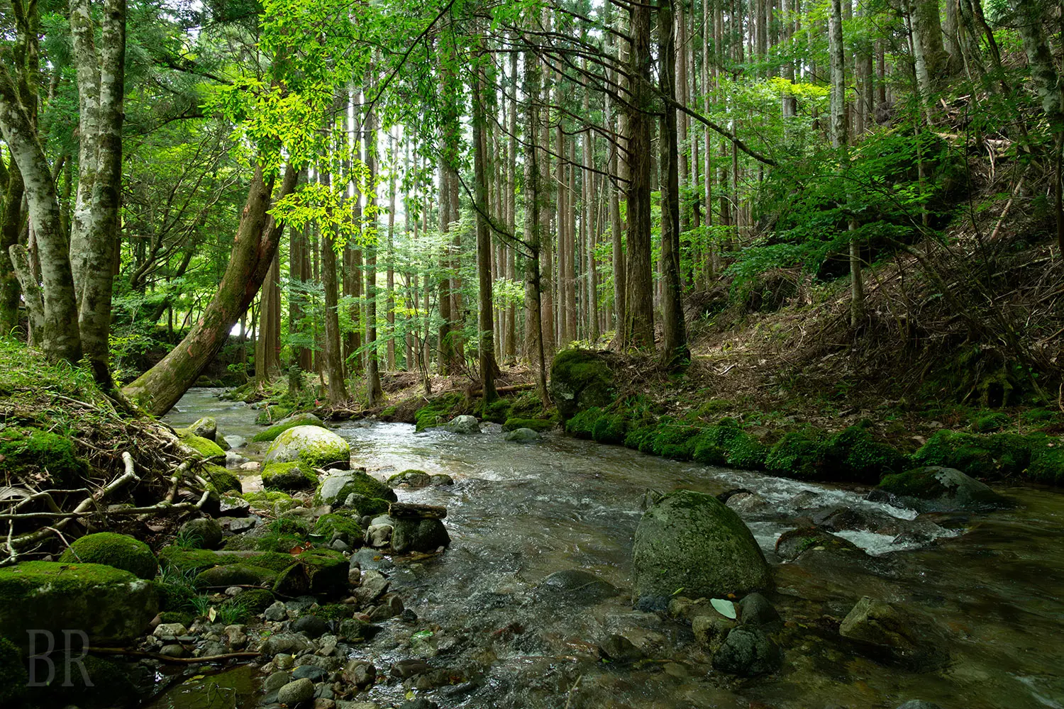 川遊び(6月～10月中旬) | 【愛知県】シタラヴィレッジ-愛知最大級の